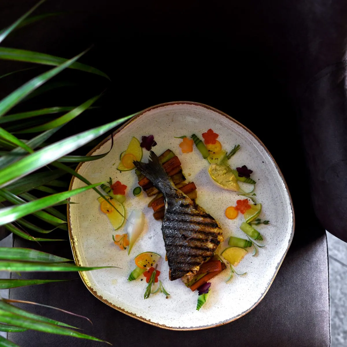 Pescado a la brasa servido en un plato; fotografía ilustrativa